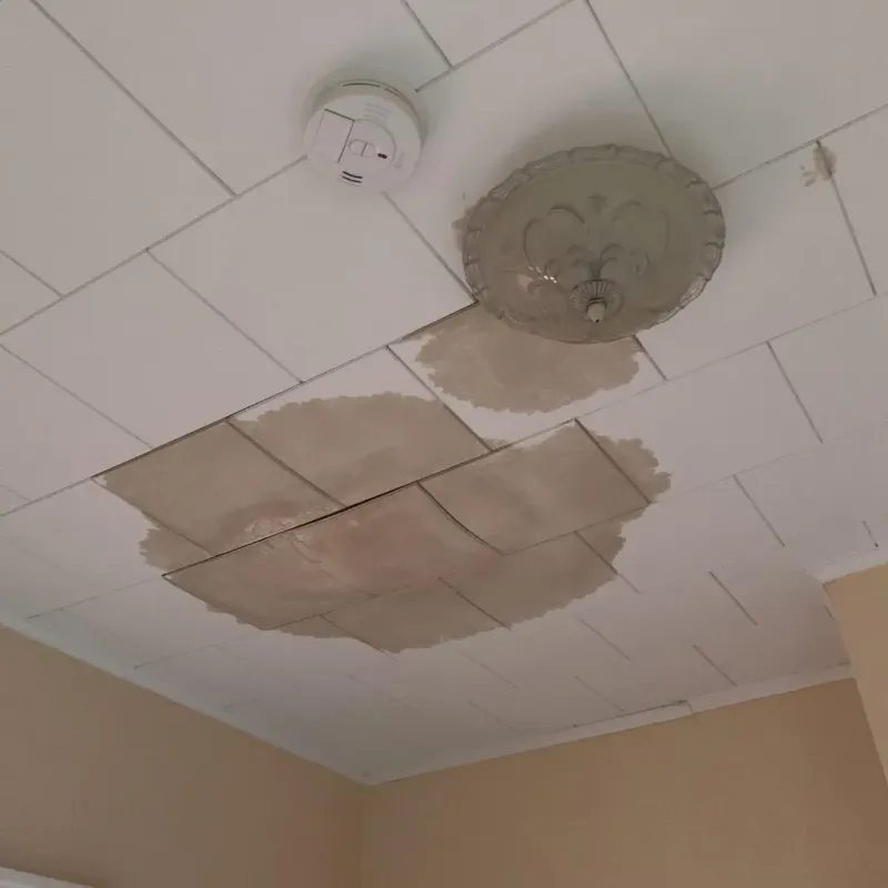 Ceiling Water Damage Repair in East Tremont, NY